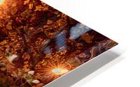 Save On Meats HD Metal print