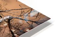The Tree HD Metal print