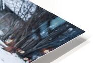 Horse Kicking HD Metal print