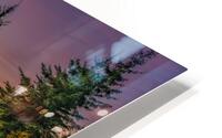 Bullmoose Marsh HD Metal print