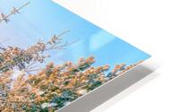 Natural Arrangement HD Metal print