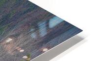 Pine River HD Metal print