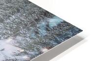 Northern Dog HD Metal print