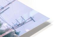 The Stray HD Metal print