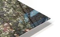 Under the Tree HD Metal print
