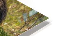 I Got Your Back HD Metal print