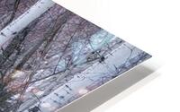 Chasing the Sleigh HD Metal print