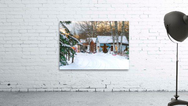 Bearskin Wall Preview
