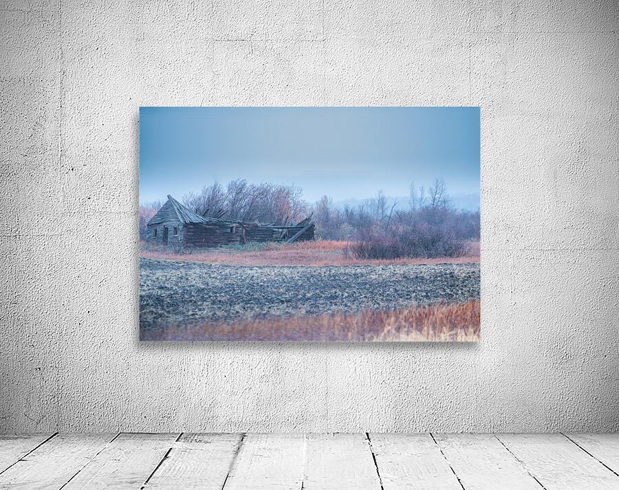 Decaying Homestead Wall Preview