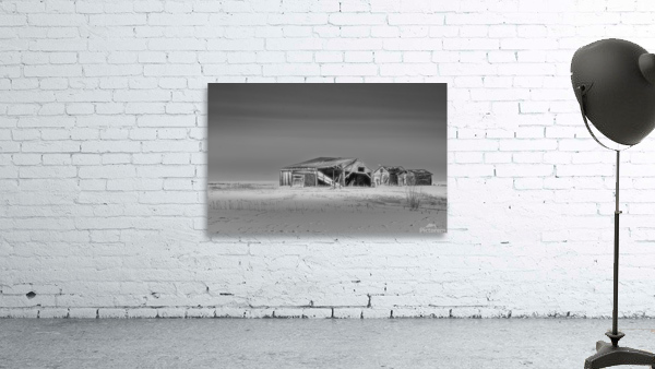 Exposed to the Elements Wall Preview