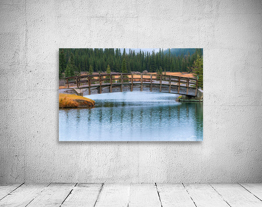 The Walking Bridge Wall Preview