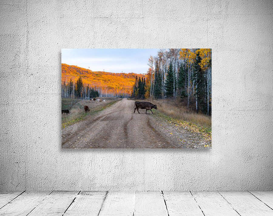 Cow Crossing Wall Preview