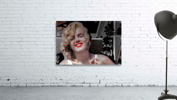 Cardboard Marilyn Wall Preview
