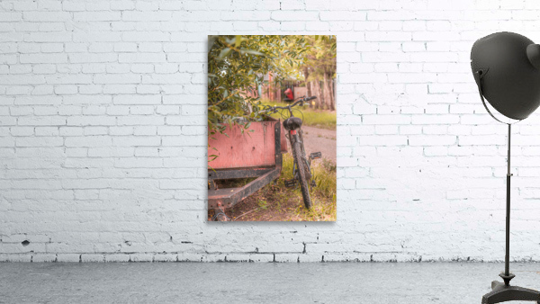 The Back Lane Bicycle Wall Preview