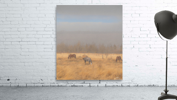 Grazing Before the Storm Wall Preview