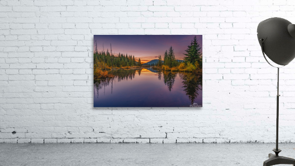Bullmoose Marsh Wall Preview