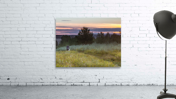 Evening Walk Wall Preview