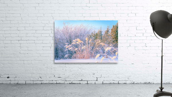 Natural Arrangement Wall Preview