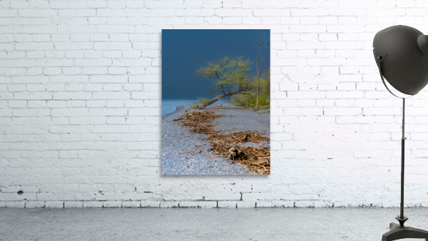 Newcastle Beach Wall Preview