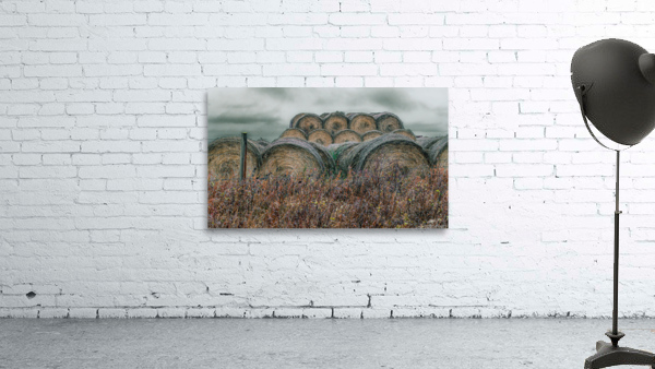 Round Bales Wall Preview