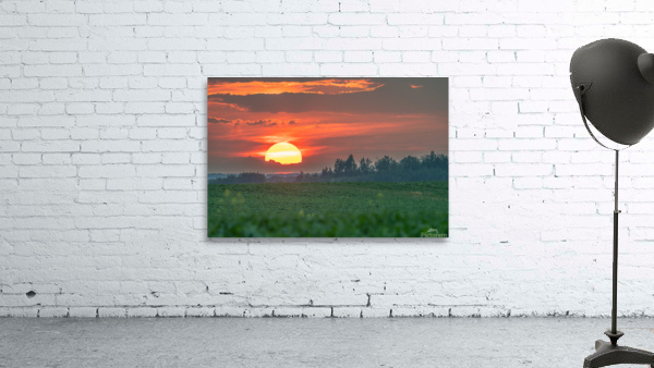 Setting Sun Wall Preview