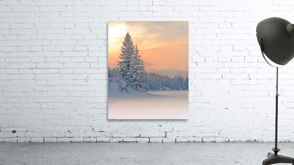 Winter Serenity Wall Preview