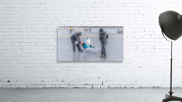Mascot Down Wall Preview