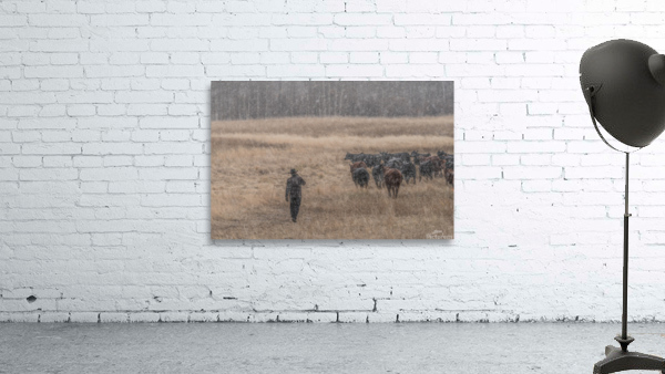 The Cowboy Wall Preview