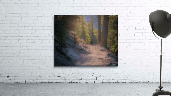 The Hiker Wall Preview