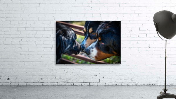 Getting to Know Each Other Wall Preview