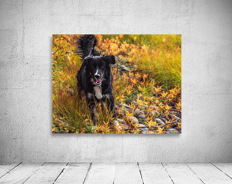 Loving Autumn Wall Preview
