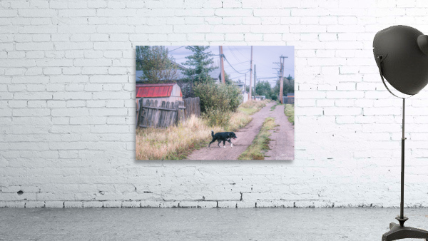 The Stray Wall Preview
