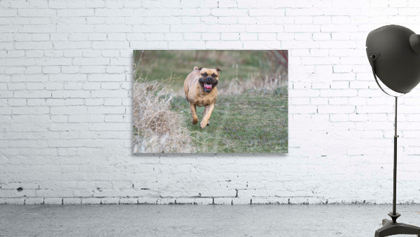 Smiley Wall Preview