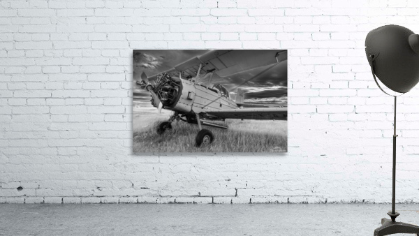 Crop Duster Wall Preview