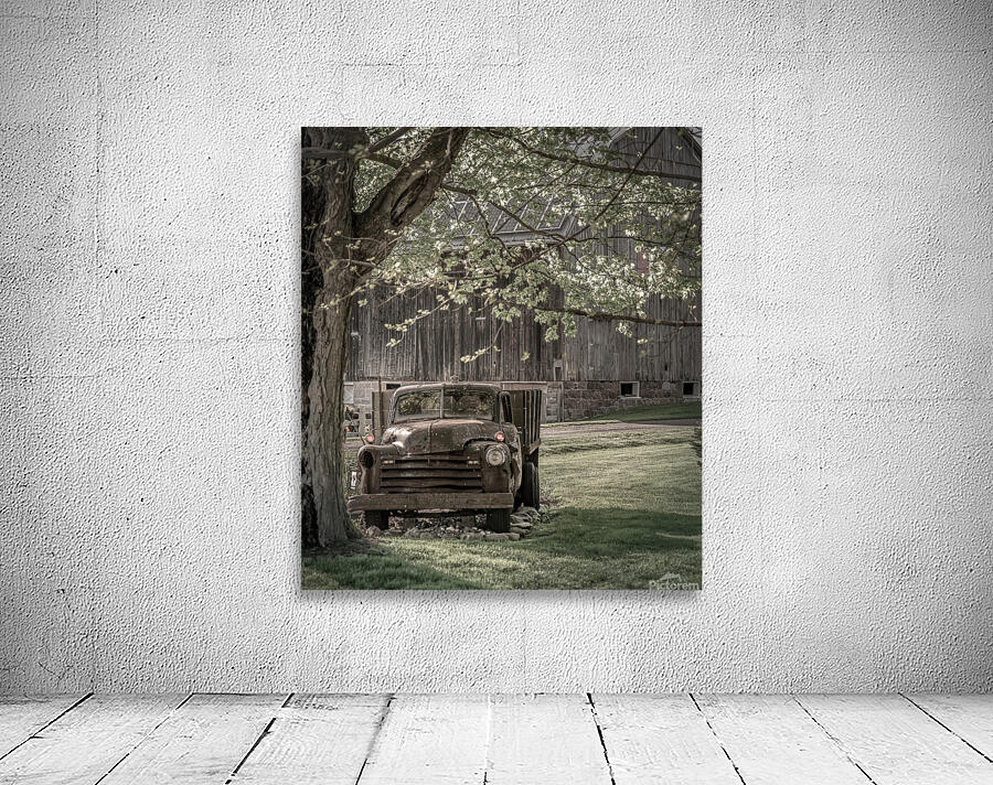 Under the Tree Wall Preview