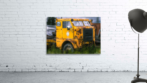 Yellow Beast Wall Preview