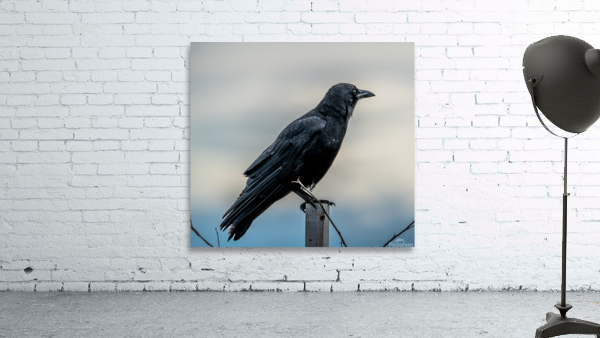 Raven on a Post Wall Preview