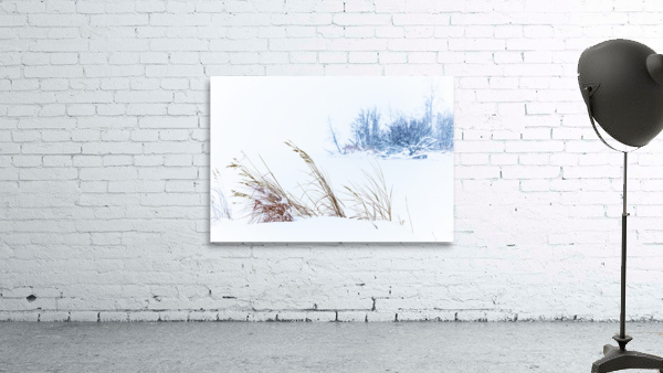 Winter Scene in Tomslake Wall Preview