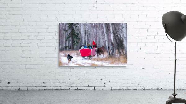 Chasing the Sleigh Wall Preview