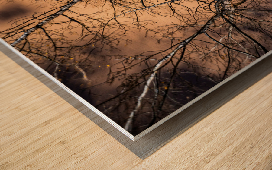 The Tree Wood print