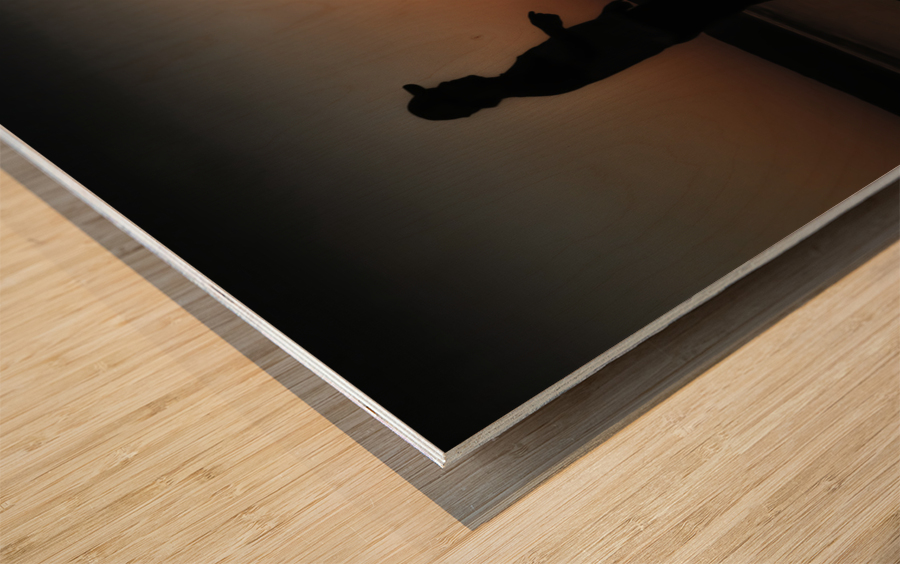 Silhouettes Wood print