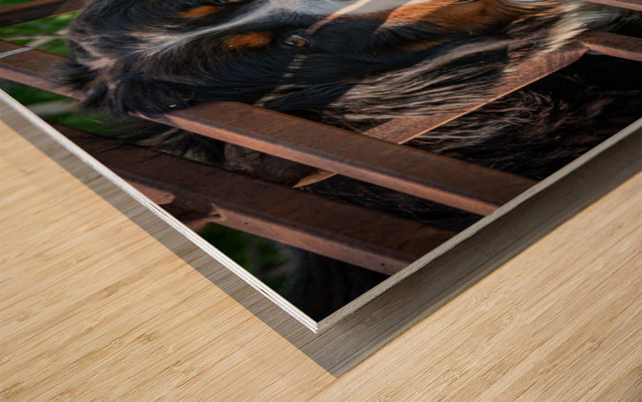 Burnese Wood print