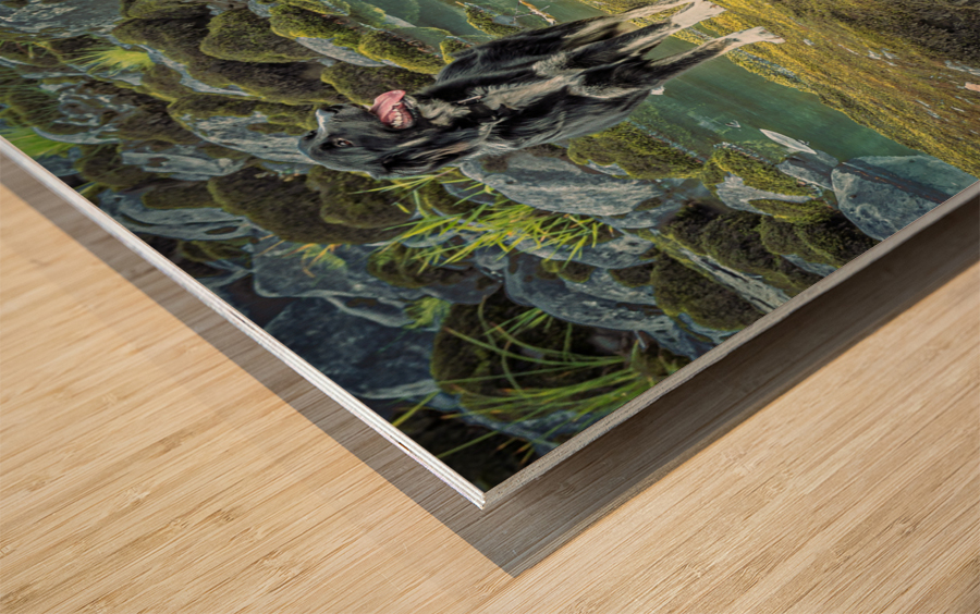 In Paradise Wood print