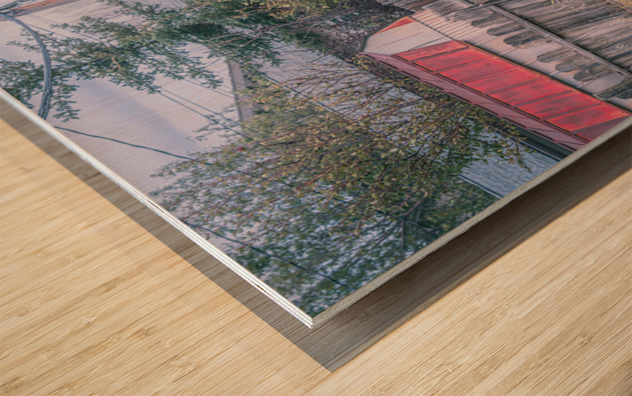 The Stray Wood print