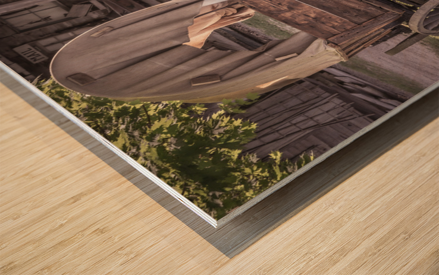 Docville Wagons Wood print
