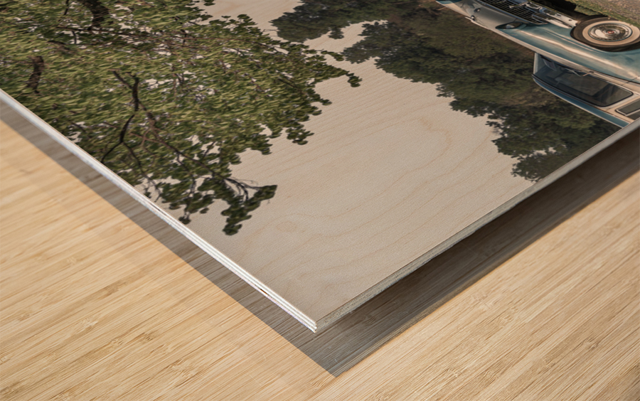 Esso Wood print