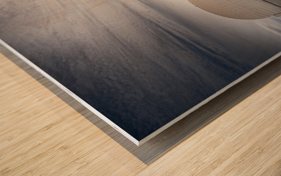 The Zamboni Wood print