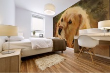 Golden Retriever Mural print