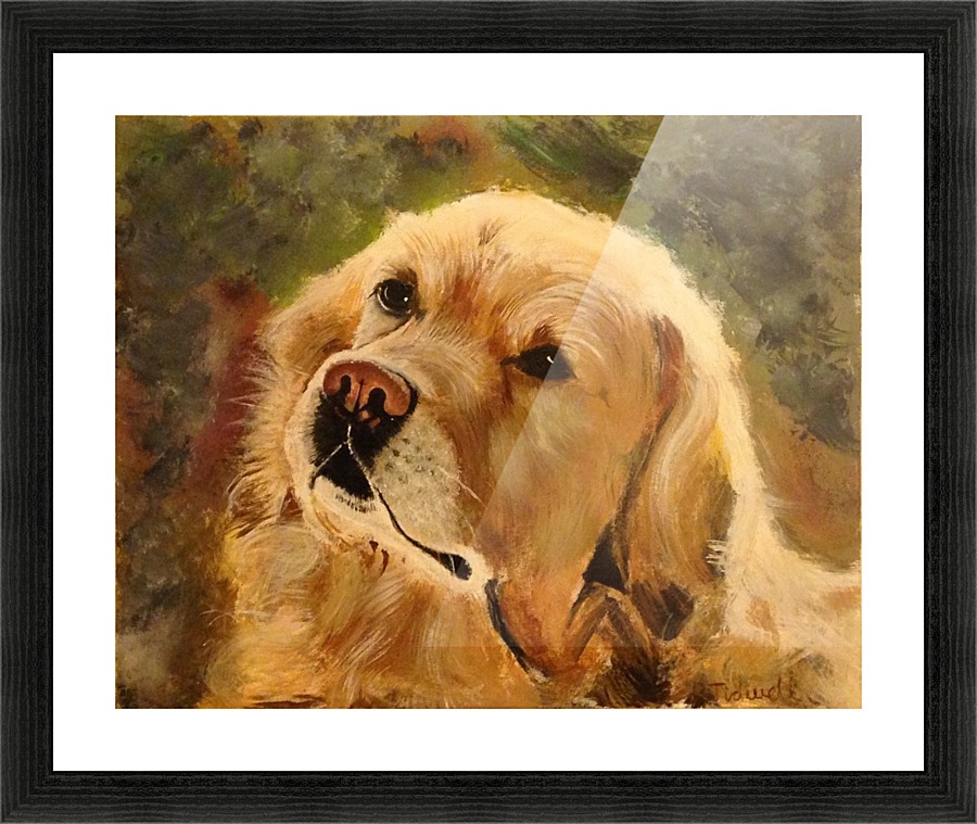 Golden Retriever Picture Frame print