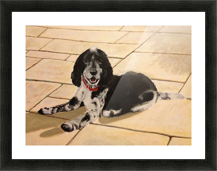 Cocker Spaniel Picture Frame print